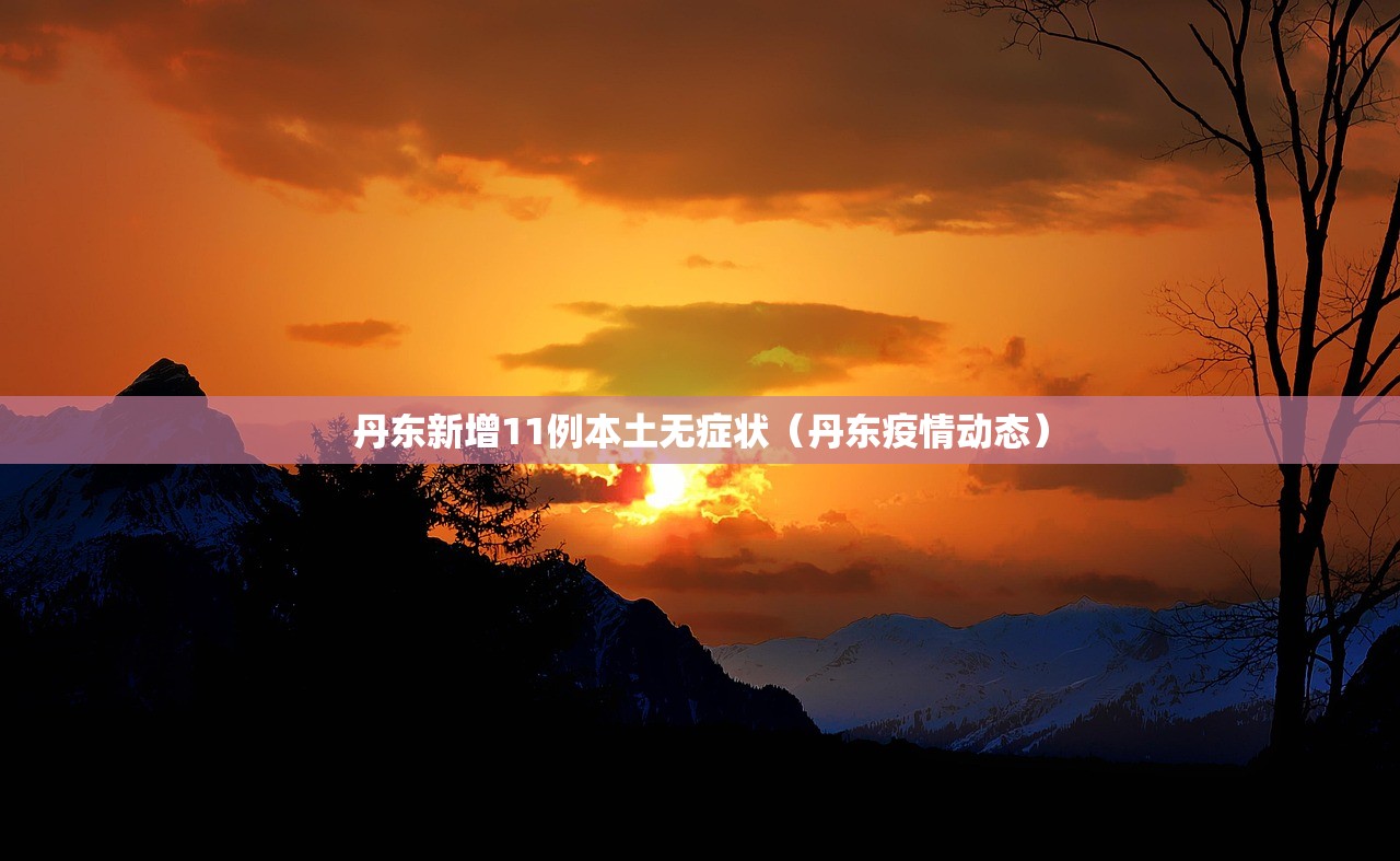 丹东新增11例本土无症状（丹东疫情动态）