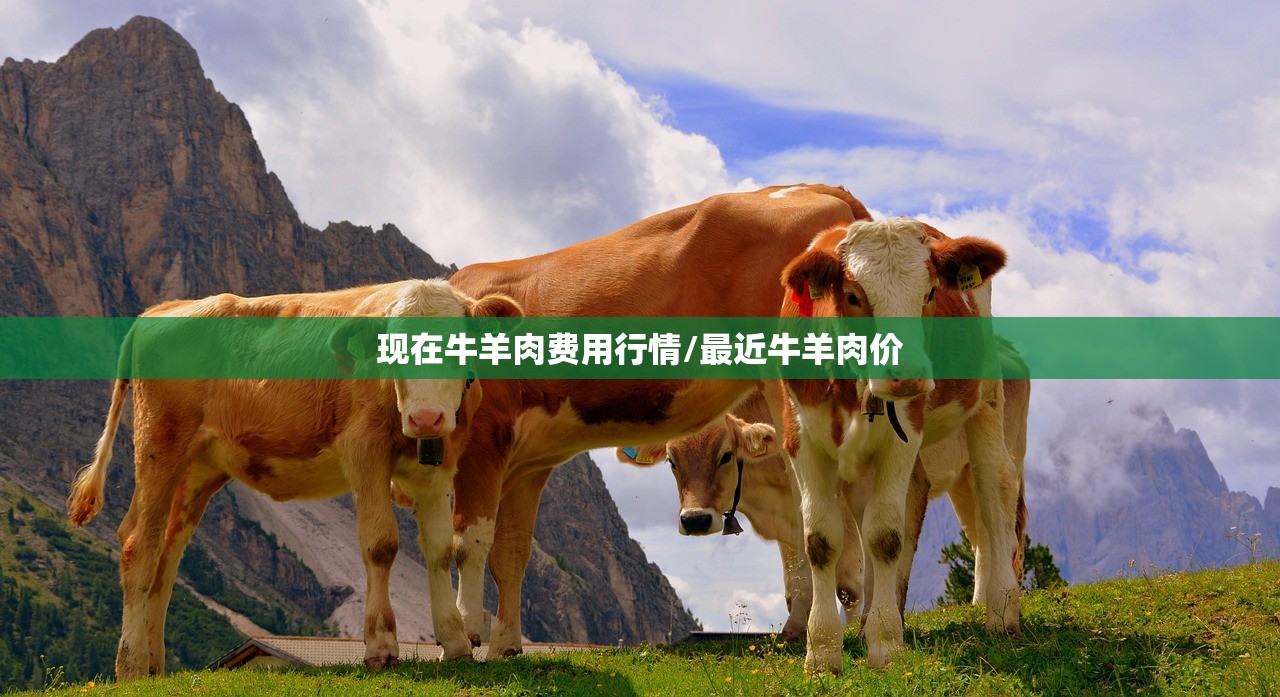 现在牛羊肉费用行情/最近牛羊肉价 现在牛羊肉费用行情/最近牛羊肉价