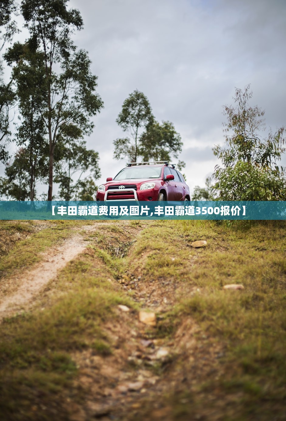 【丰田霸道费用及图片,丰田霸道3500报价】