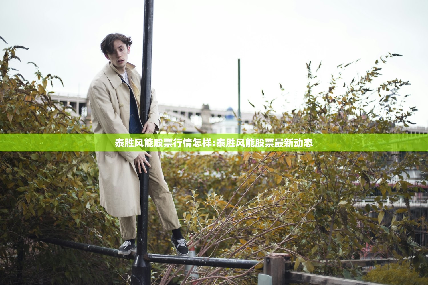 泰胜风能股票行情怎样:泰胜风能股票最新动态 泰胜风能股票行情怎样:泰胜风能股票最新动态