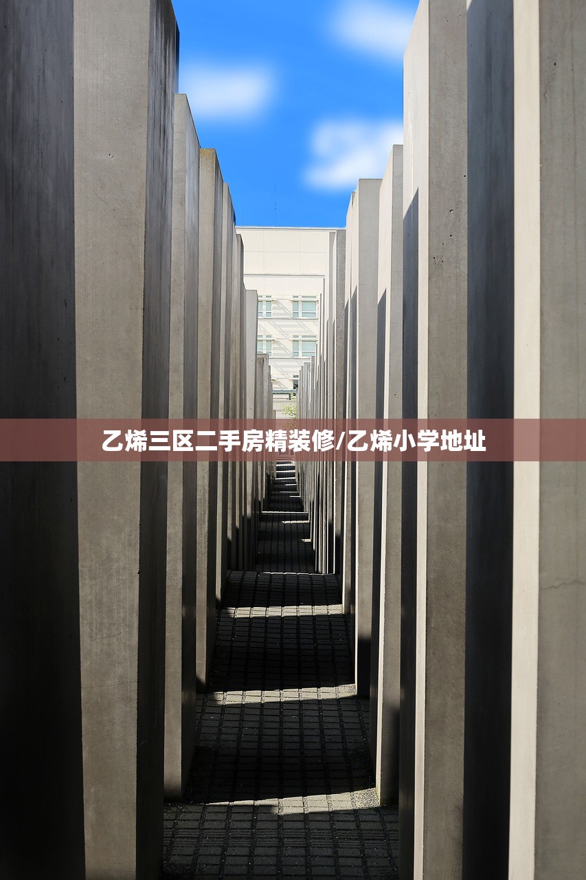 乙烯三区二手房精装修/乙烯小学地址