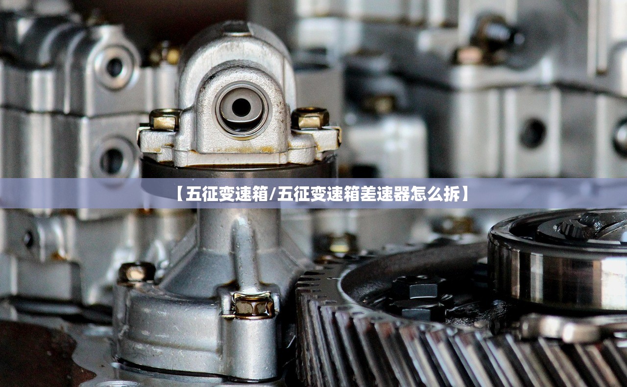 【五征变速箱/五征变速箱差速器怎么拆】 【五征变速箱/五征变速箱差速器怎么拆】