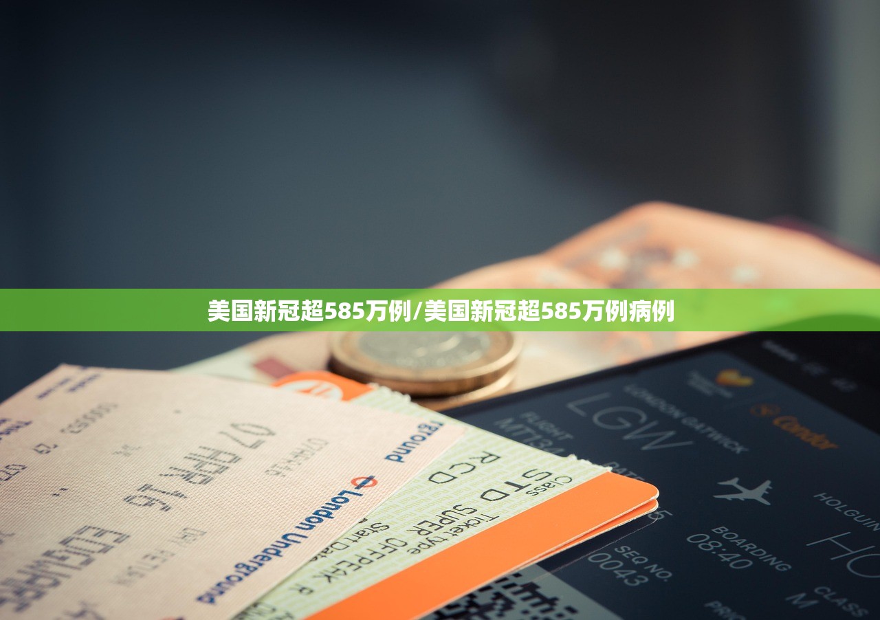 美国新冠超585万例/美国新冠超585万例病例