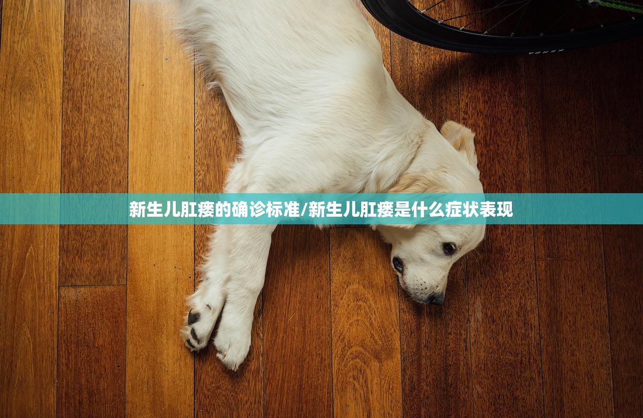 新生儿肛瘘的确诊标准/新生儿肛瘘是什么症状表现 新生儿肛瘘的确诊标准/新生儿肛瘘是什么症状表现