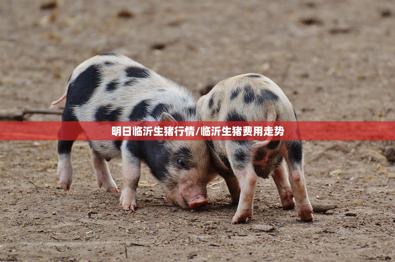 明日临沂生猪行情/临沂生猪费用走势