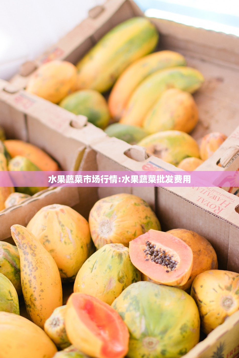 水果蔬菜市场行情:水果蔬菜批发费用