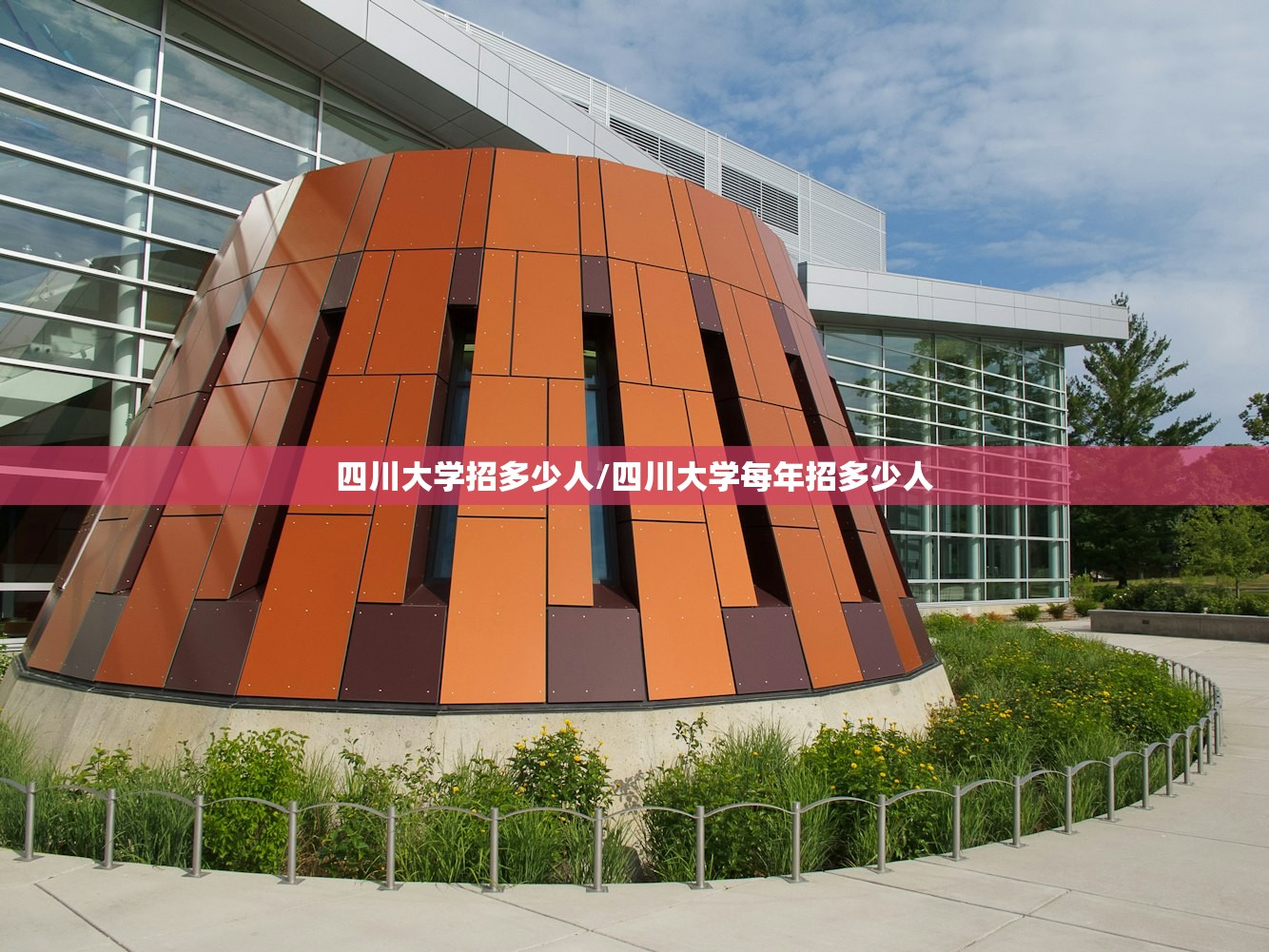 四川大学招多少人/四川大学每年招多少人
