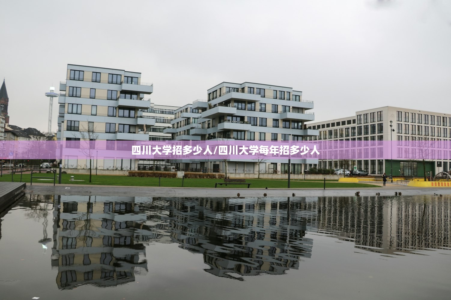 四川大学招多少人/四川大学每年招多少人