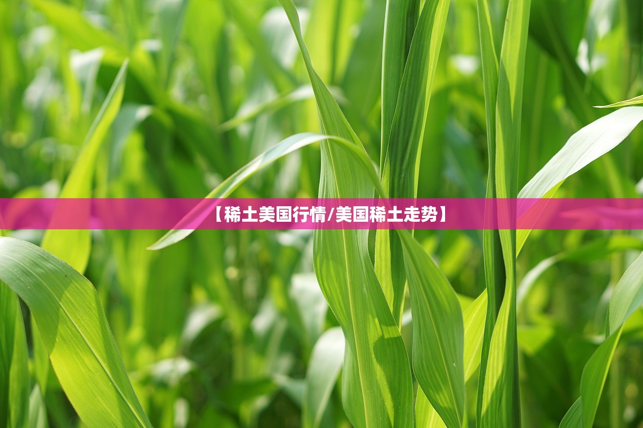 【稀土美国行情/美国稀土走势】 【稀土美国行情/美国稀土走势】
