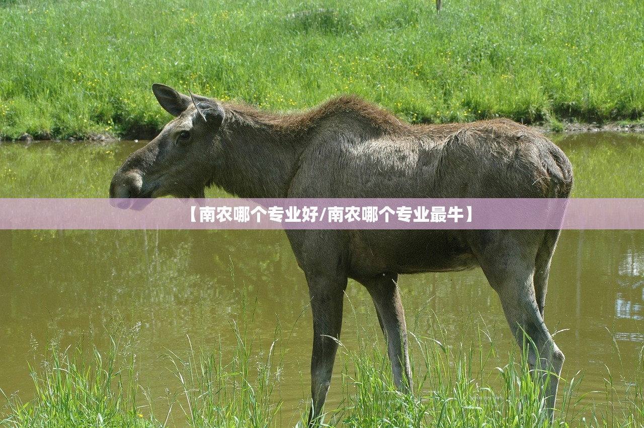【南农哪个专业好/南农哪个专业最牛】