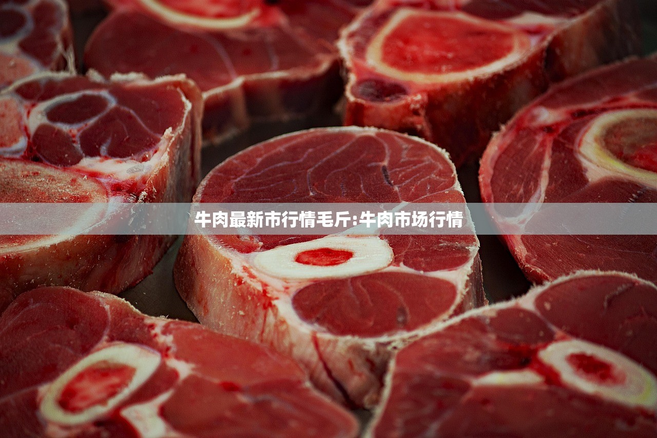 牛肉最新市行情毛斤:牛肉市场行情 牛肉最新市行情毛斤:牛肉市场行情