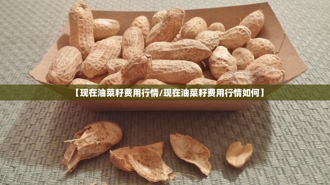 【现在油菜籽费用行情/现在油菜籽费用行情如何】