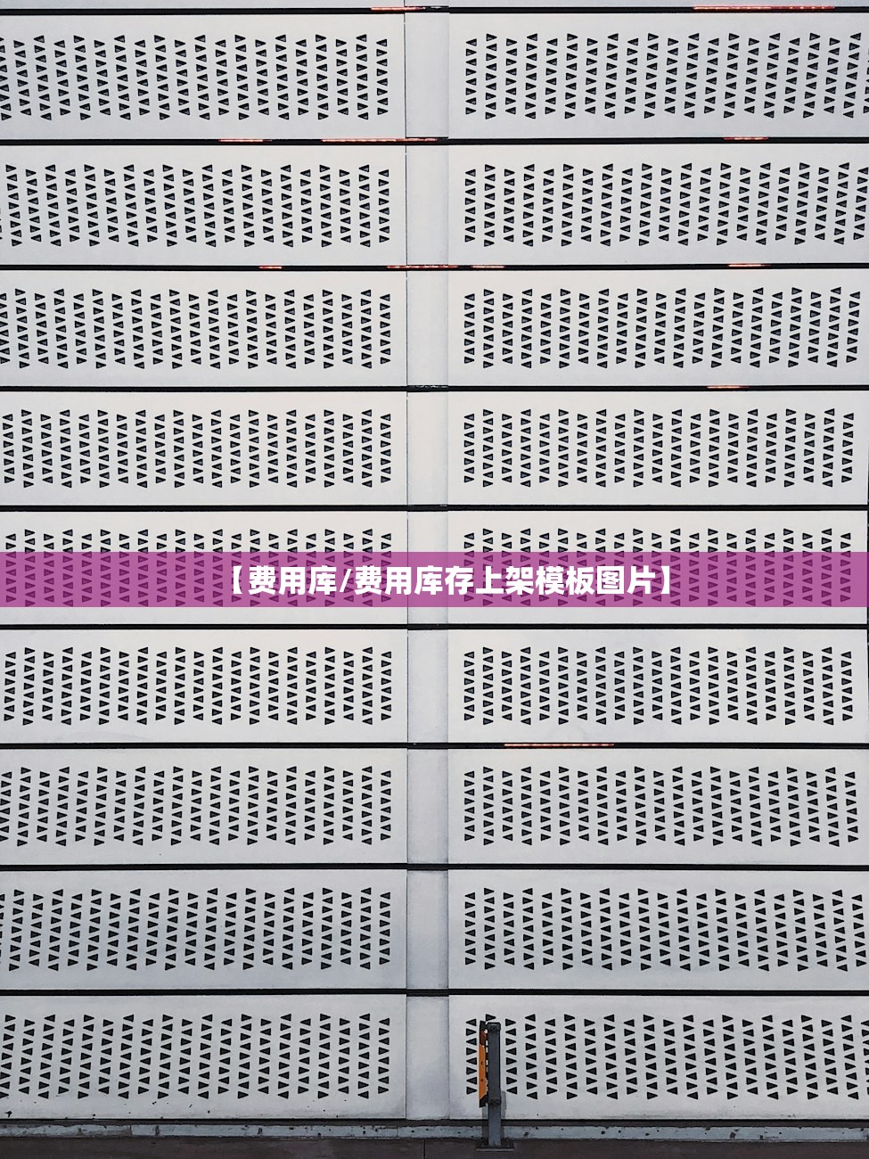 【费用库/费用库存上架模板图片】