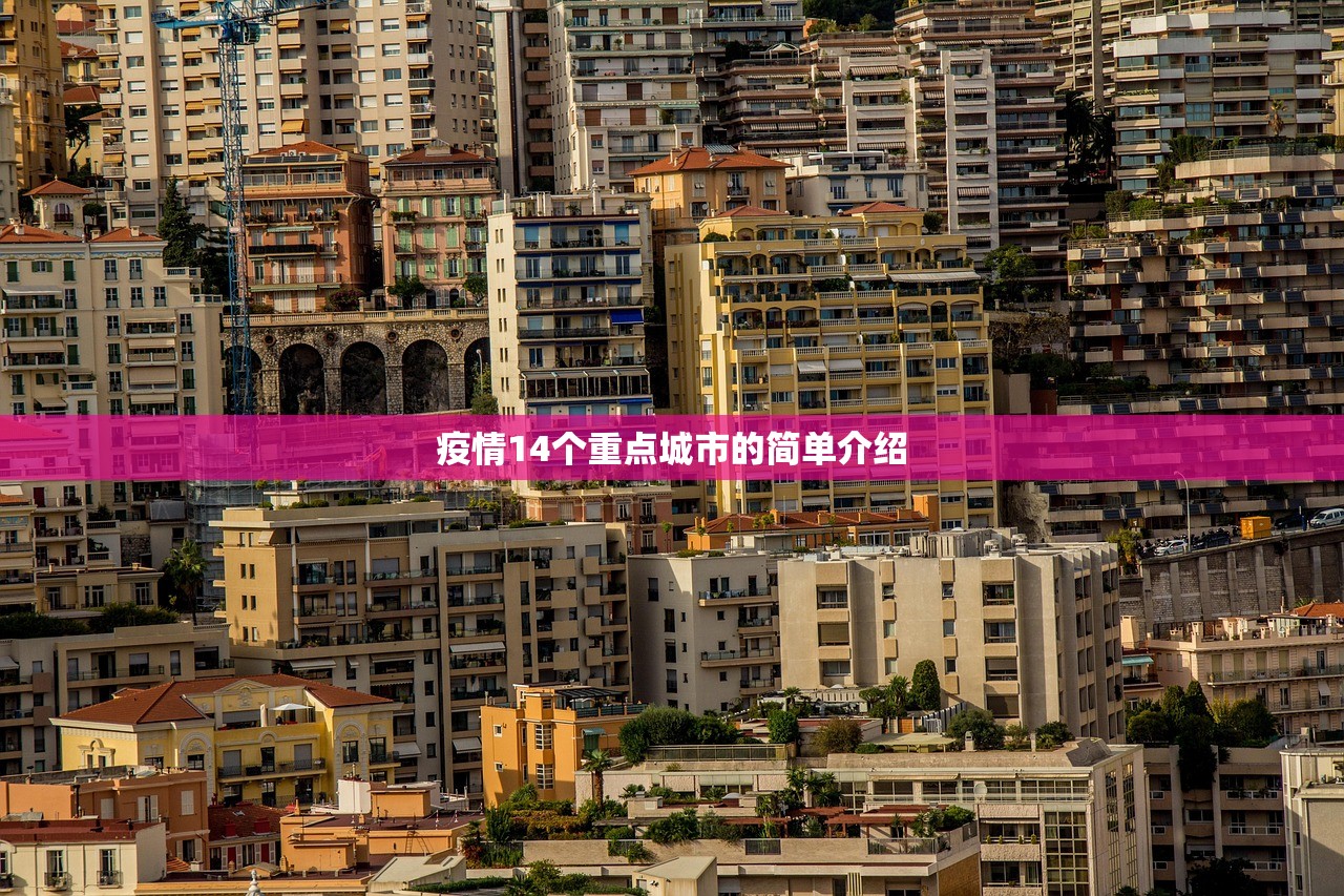 疫情14个重点城市的简单介绍