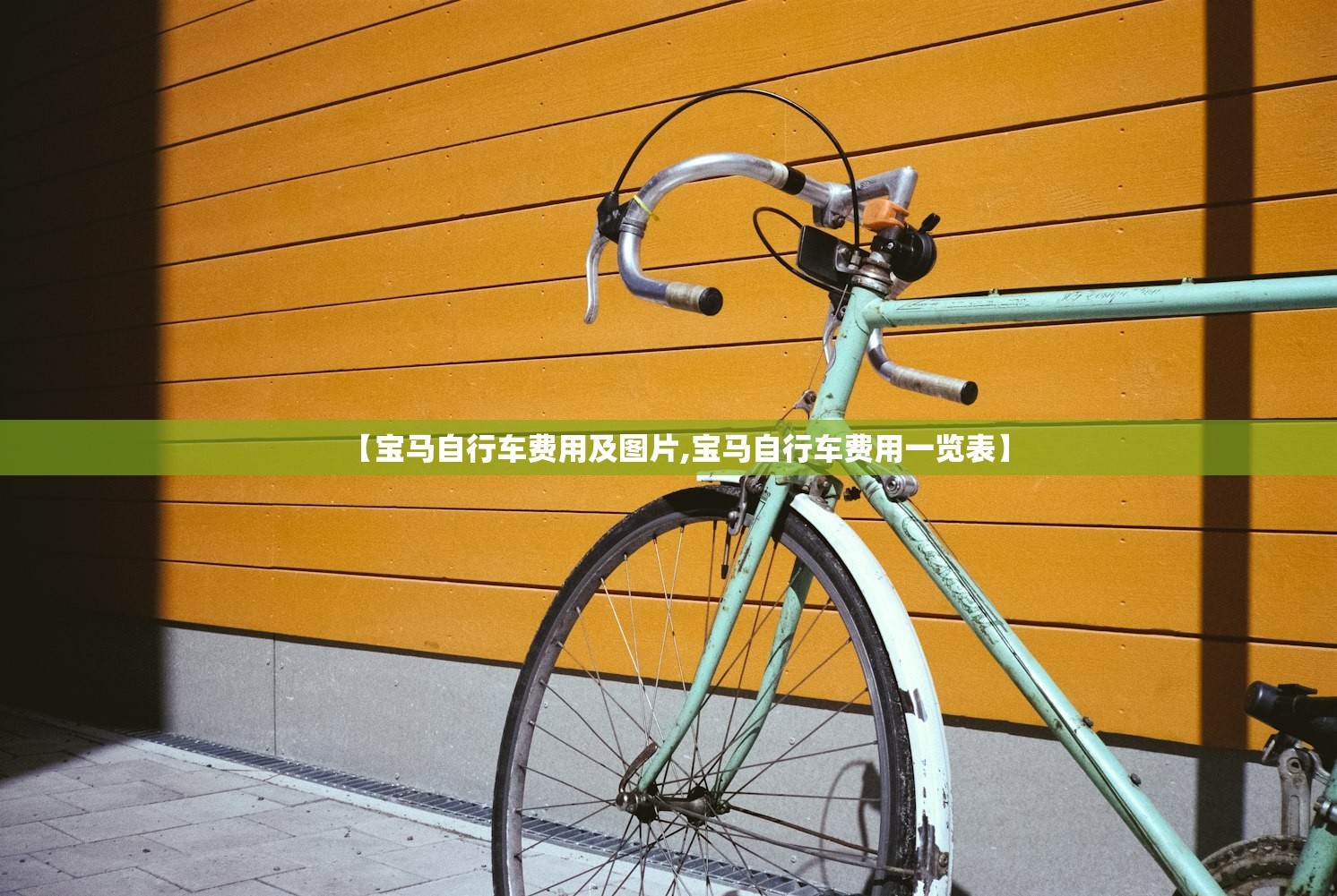 【宝马自行车费用及图片,宝马自行车费用一览表】