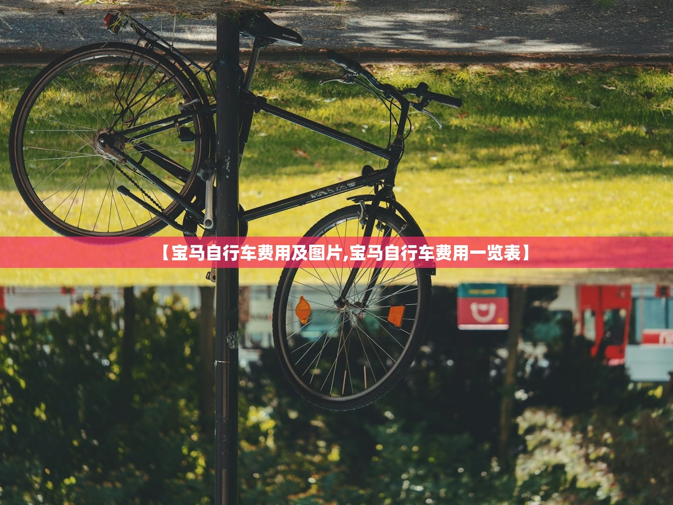 【宝马自行车费用及图片,宝马自行车费用一览表】
