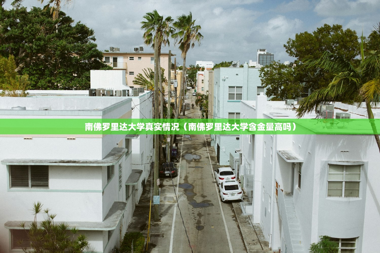 南佛罗里达大学真实情况（南佛罗里达大学含金量高吗）