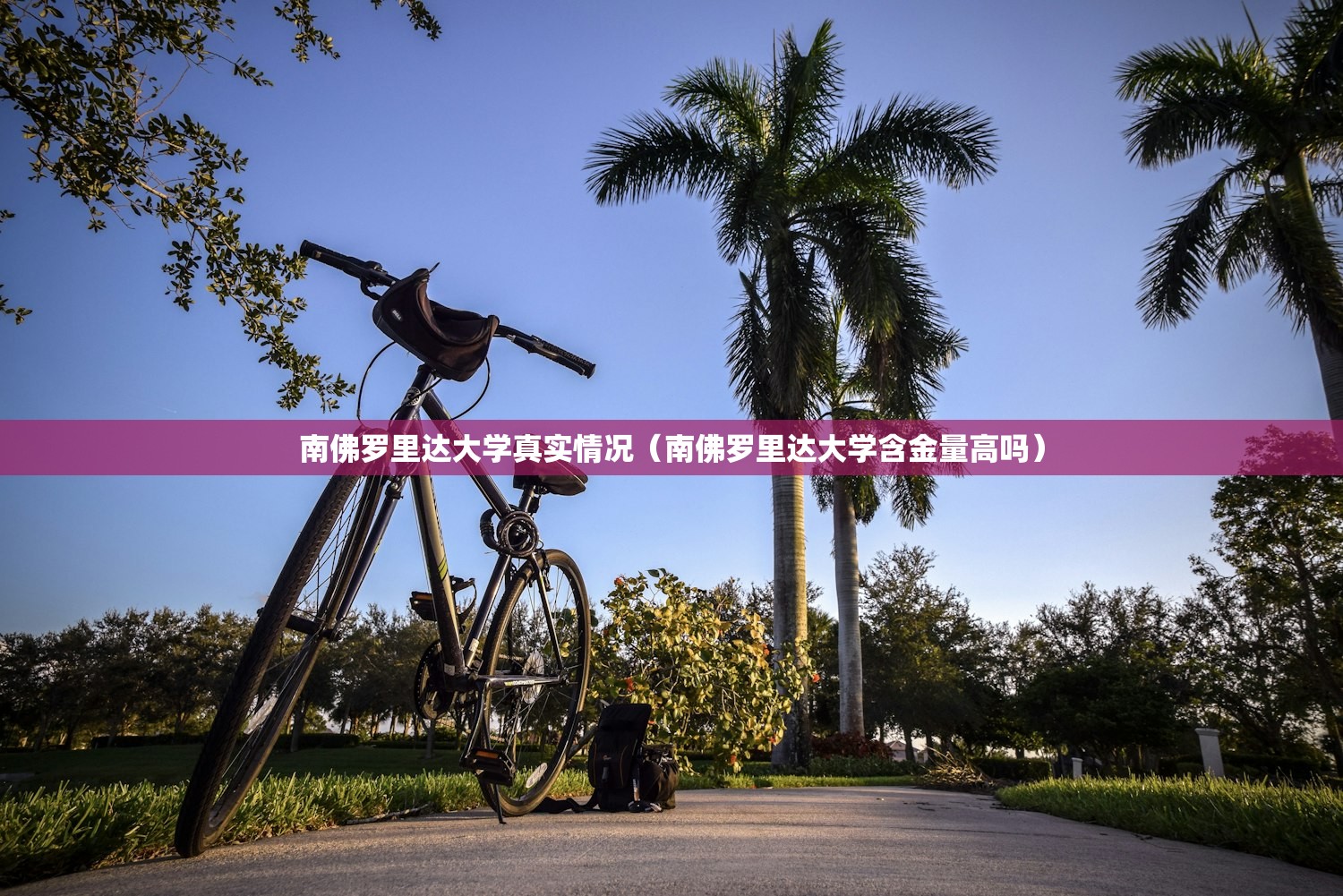 南佛罗里达大学真实情况（南佛罗里达大学含金量高吗）