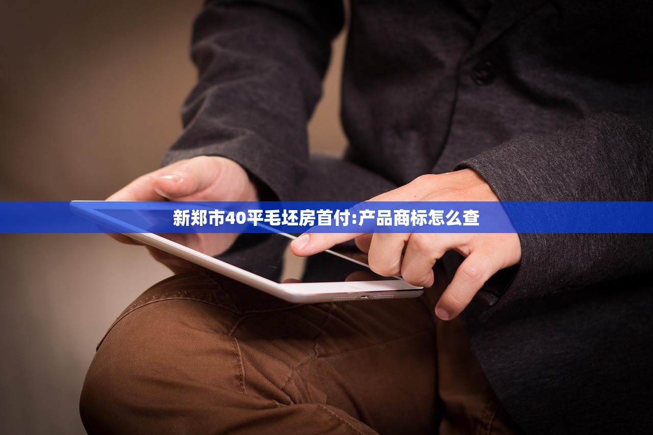 新郑市40平毛坯房首付:产品商标怎么查