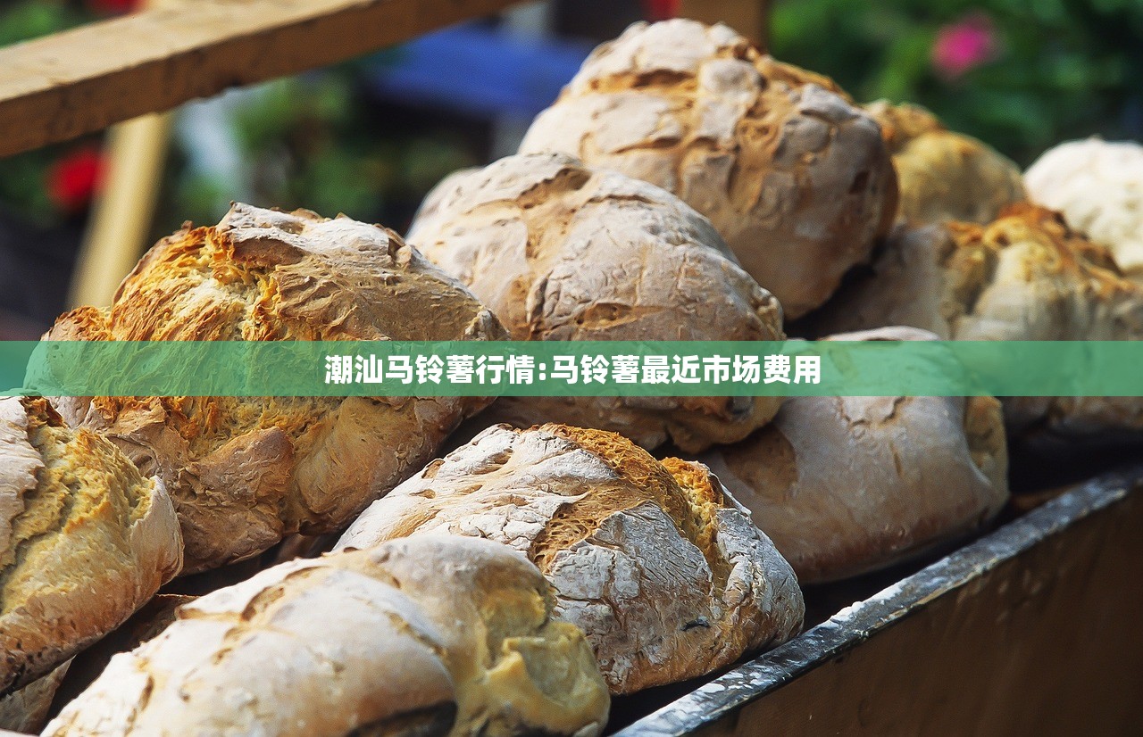 潮汕马铃薯行情:马铃薯最近市场费用