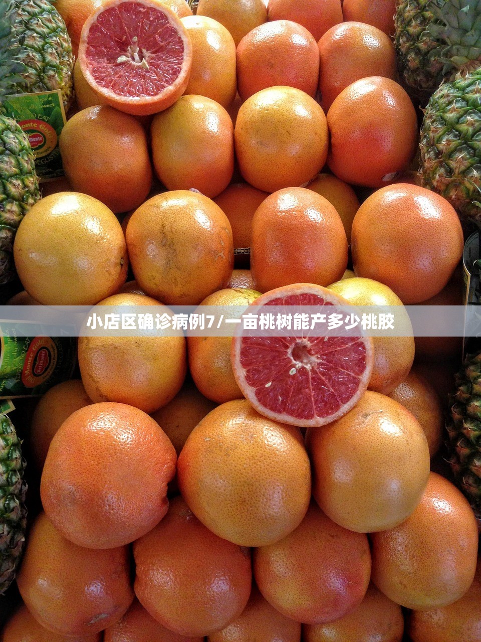小店区确诊病例7/一亩桃树能产多少桃胶 小店区确诊病例7/一亩桃树能产多少桃胶