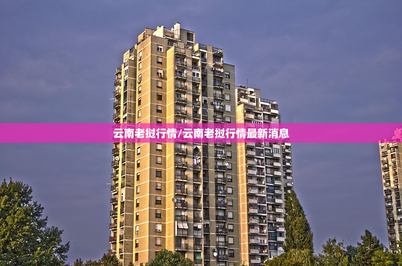 云南老挝行情/云南老挝行情最新消息