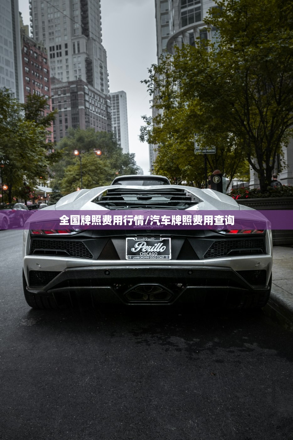 全国牌照费用行情/汽车牌照费用查询