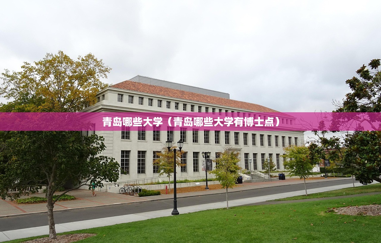 青岛哪些大学（青岛哪些大学有博士点）