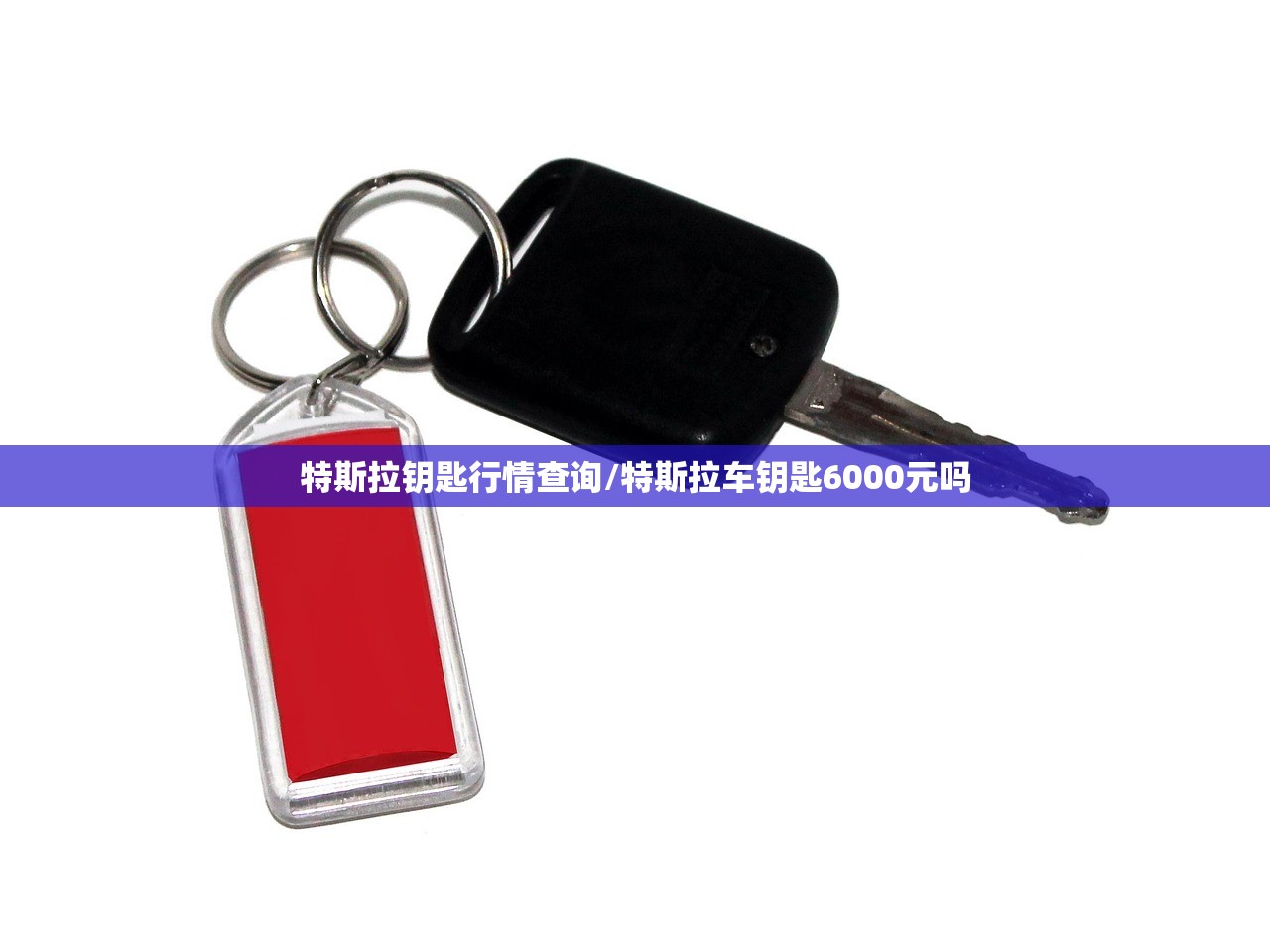 特斯拉钥匙行情查询/特斯拉车钥匙6000元吗 特斯拉钥匙行情查询/特斯拉车钥匙6000元吗