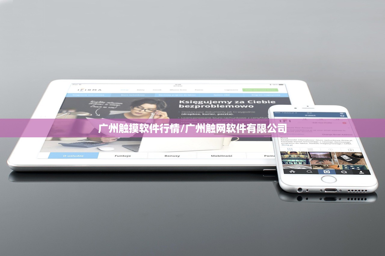 广州触摸软件行情/广州触网软件有限公司