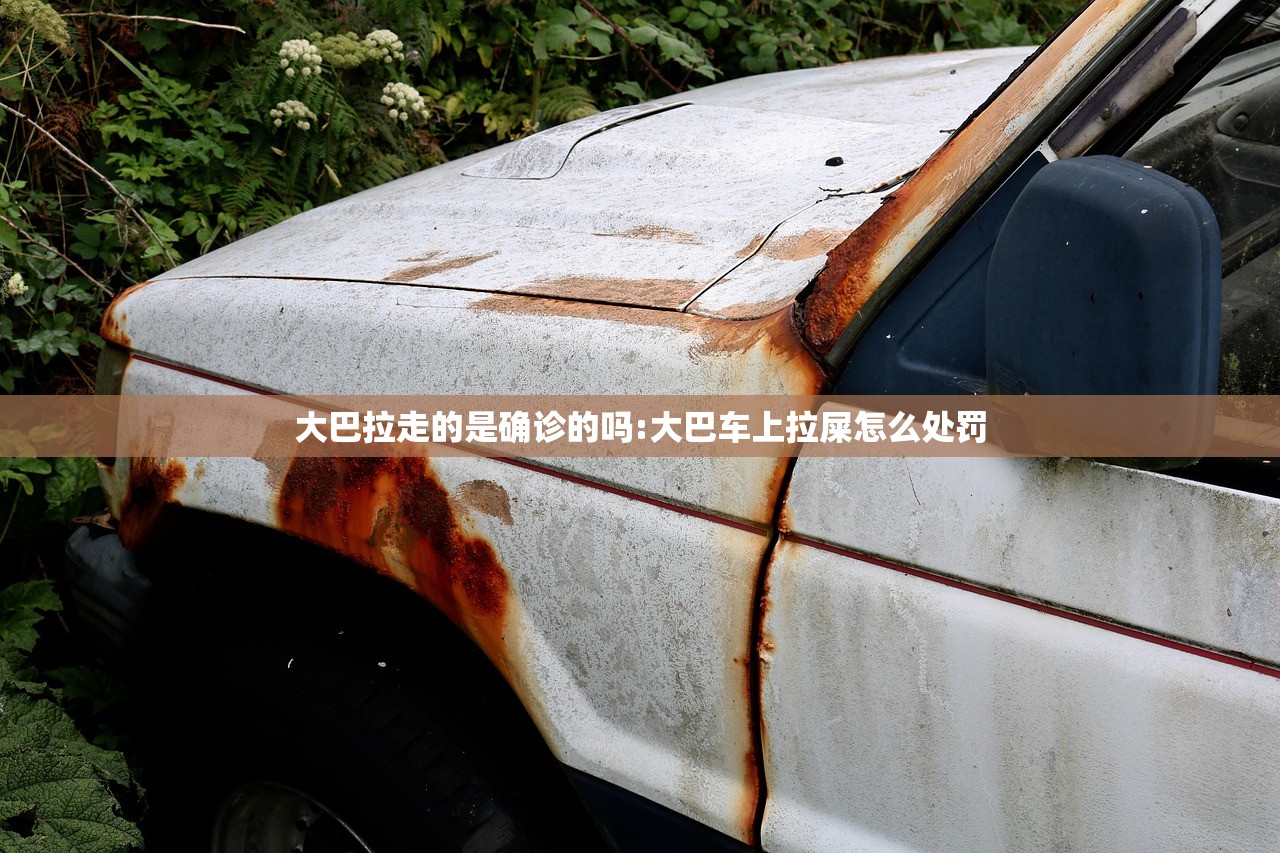 大巴拉走的是确诊的吗:大巴车上拉屎怎么处罚 大巴拉走的是确诊的吗:大巴车上拉屎怎么处罚