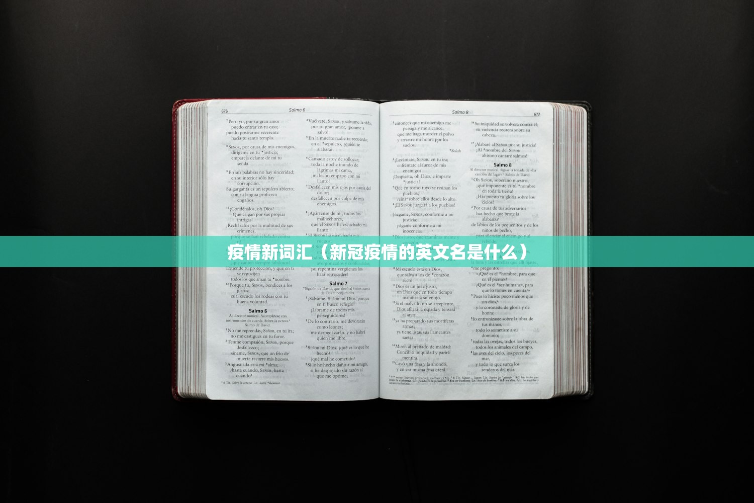 疫情新词汇（新冠疫情的英文名是什么）