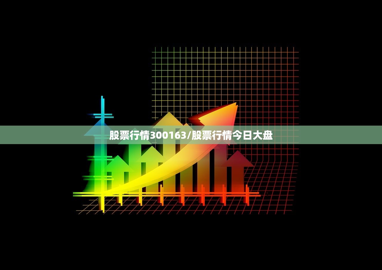 股票行情300163/股票行情今日大盘