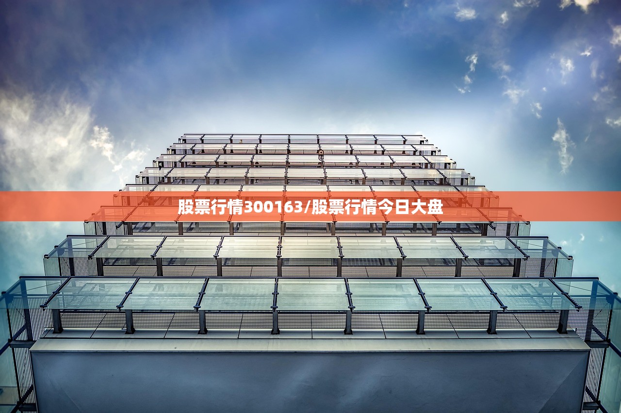 股票行情300163/股票行情今日大盘