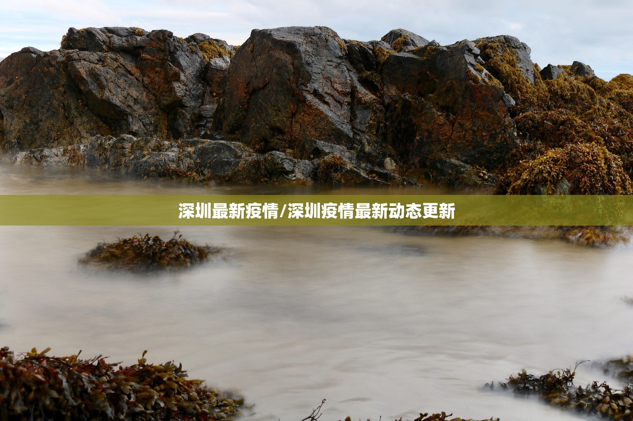 深圳最新疫情/深圳疫情最新动态更新