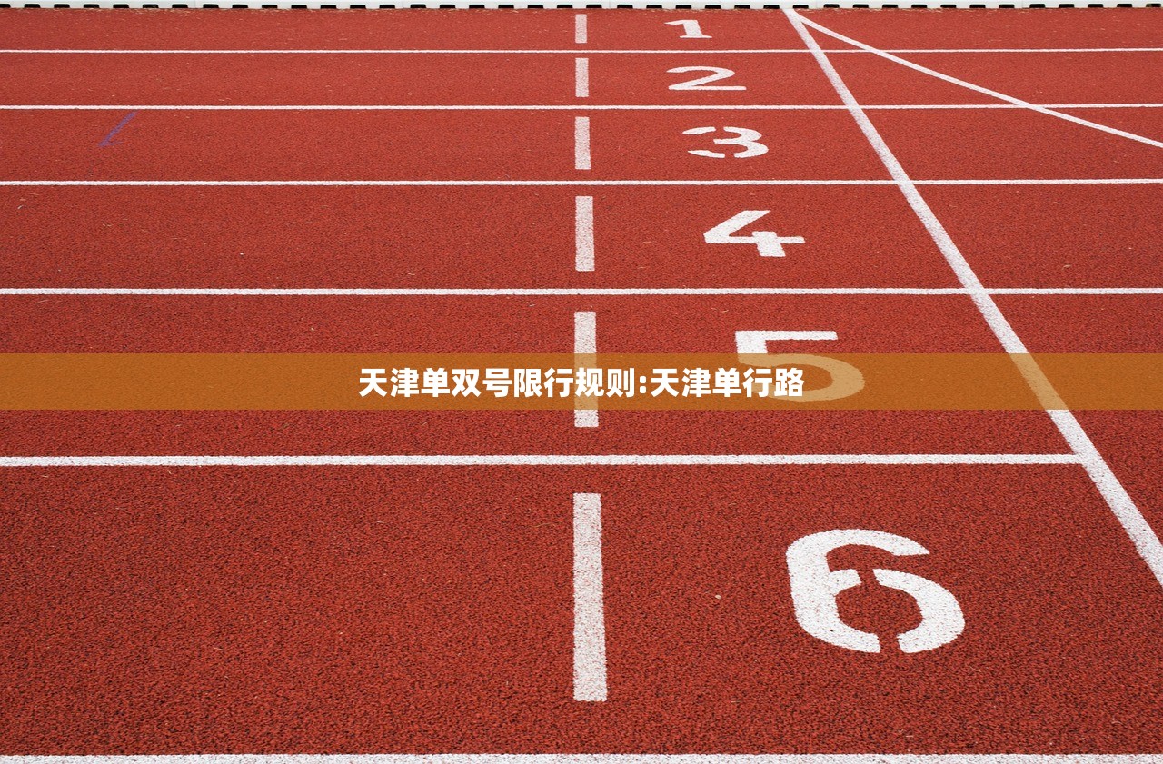 天津单双号限行规则:天津单行路 天津单双号限行规则:天津单行路