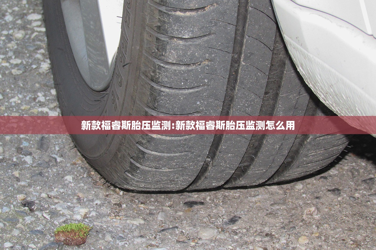 新款福睿斯胎压监测:新款福睿斯胎压监测怎么用 新款福睿斯胎压监测:新款福睿斯胎压监测怎么用