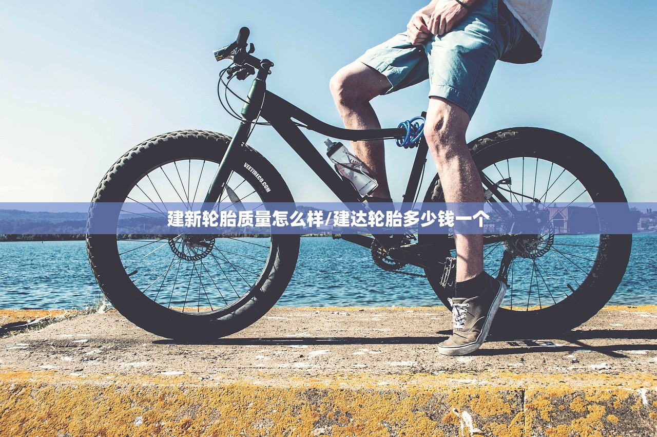建新轮胎质量怎么样/建达轮胎多少钱一个 建新轮胎质量怎么样/建达轮胎多少钱一个