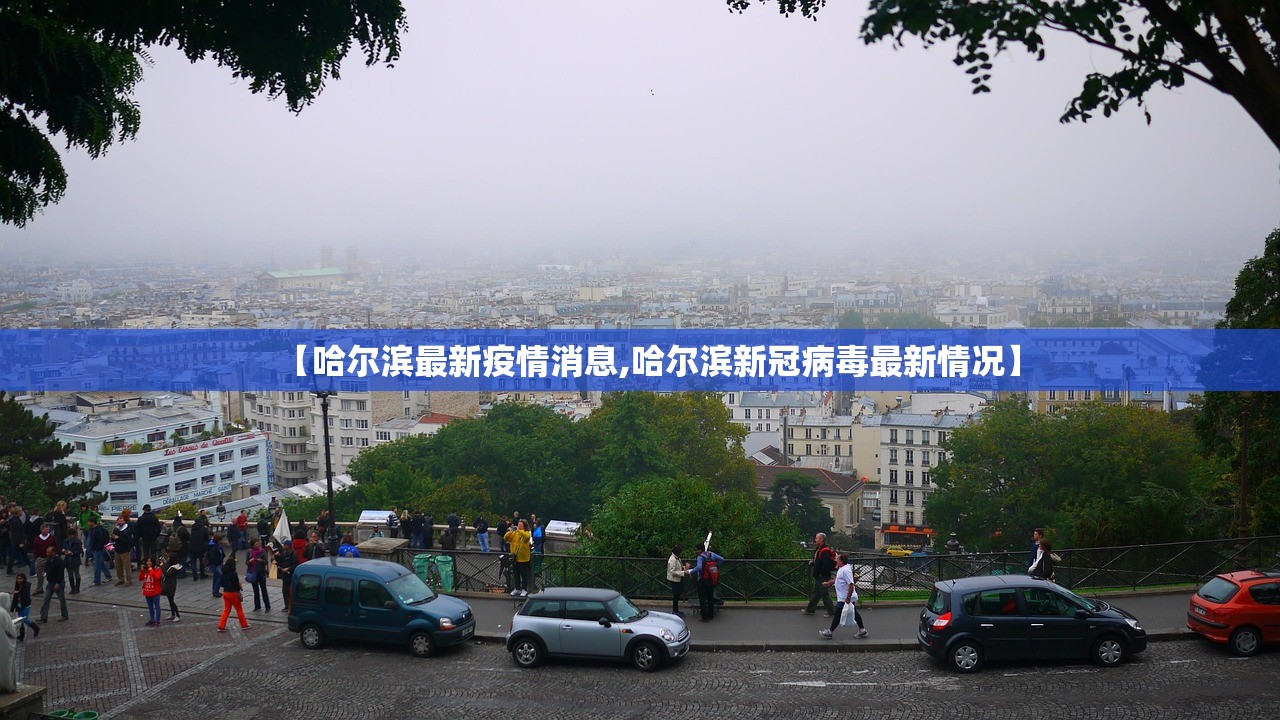 【哈尔滨最新疫情消息,哈尔滨新冠病毒最新情况】