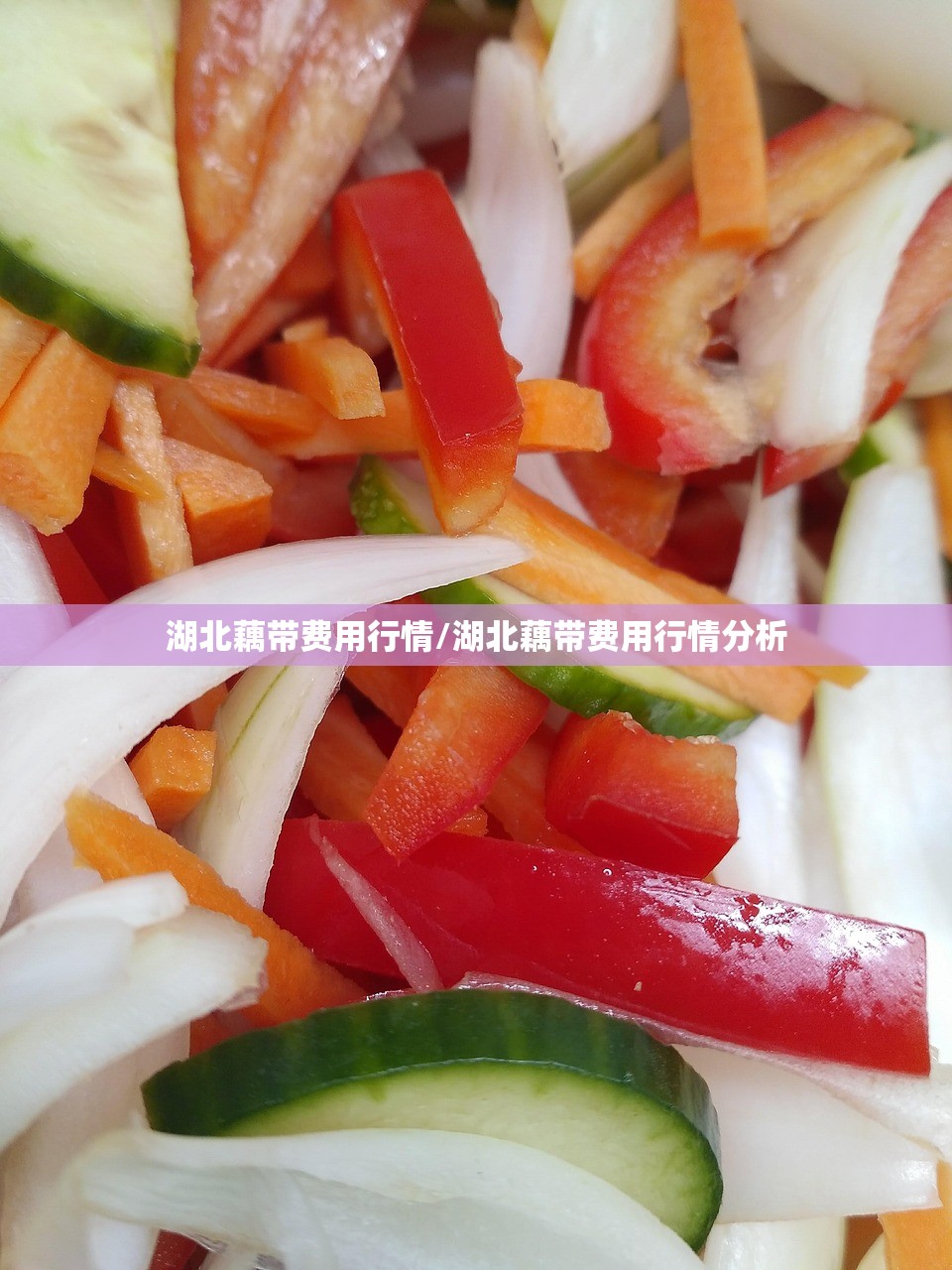 湖北藕带费用行情/湖北藕带费用行情分析
