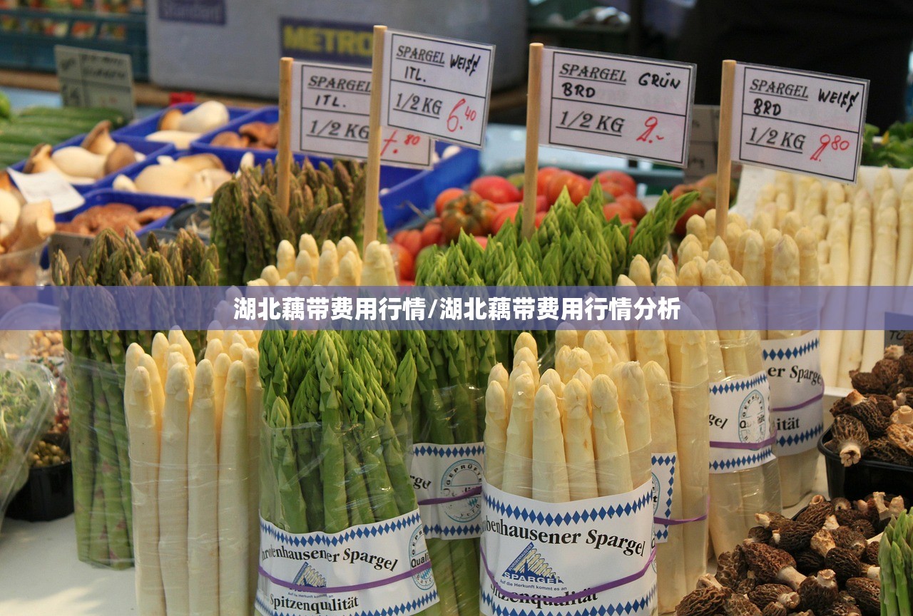 湖北藕带费用行情/湖北藕带费用行情分析