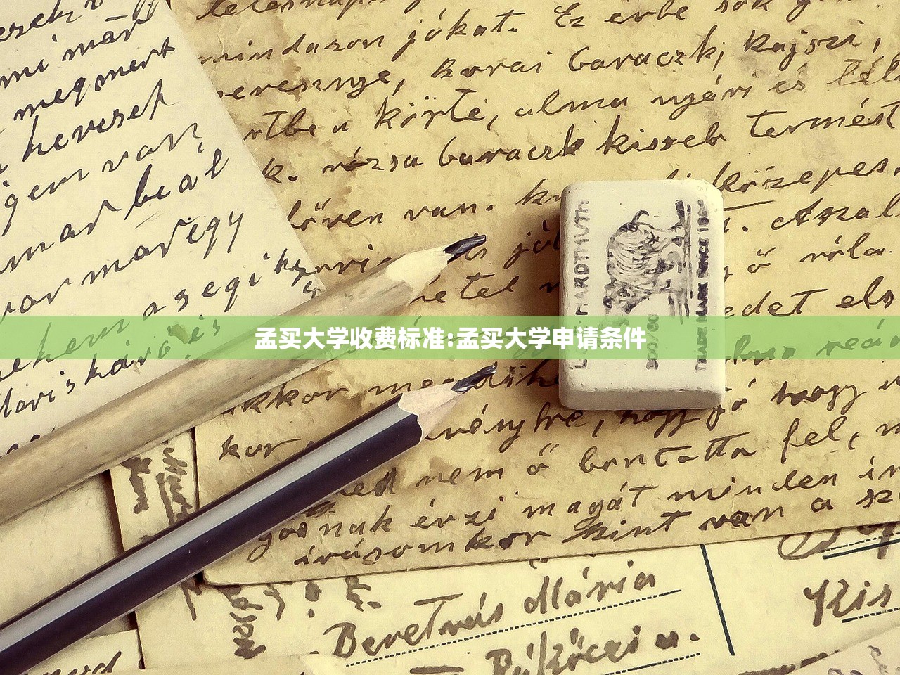 孟买大学收费标准:孟买大学申请条件 孟买大学收费标准:孟买大学申请条件