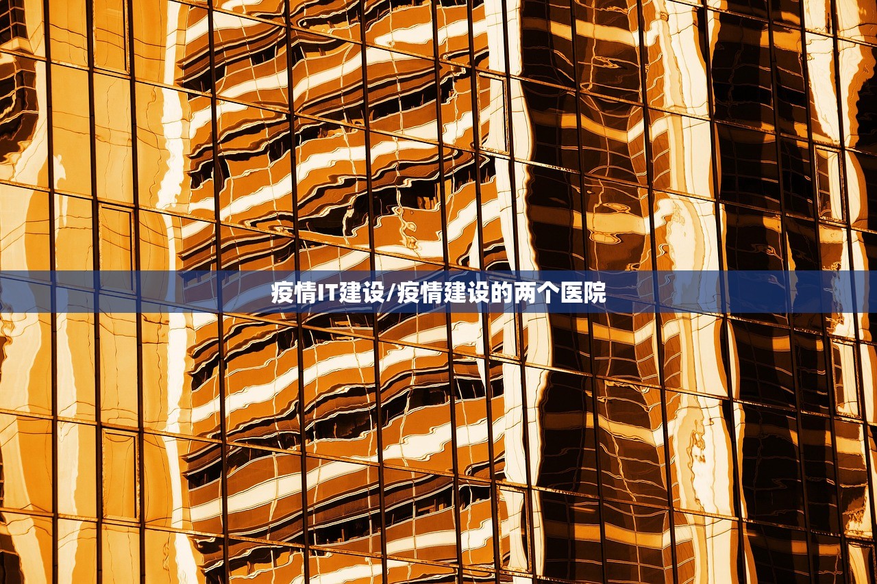 疫情IT建设/疫情建设的两个医院 疫情IT建设/疫情建设的两个医院
