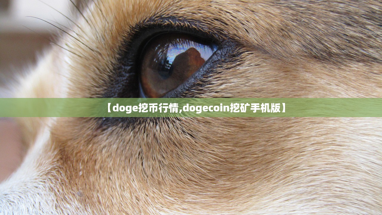 【doge挖币行情,dogecoin挖矿手机版】