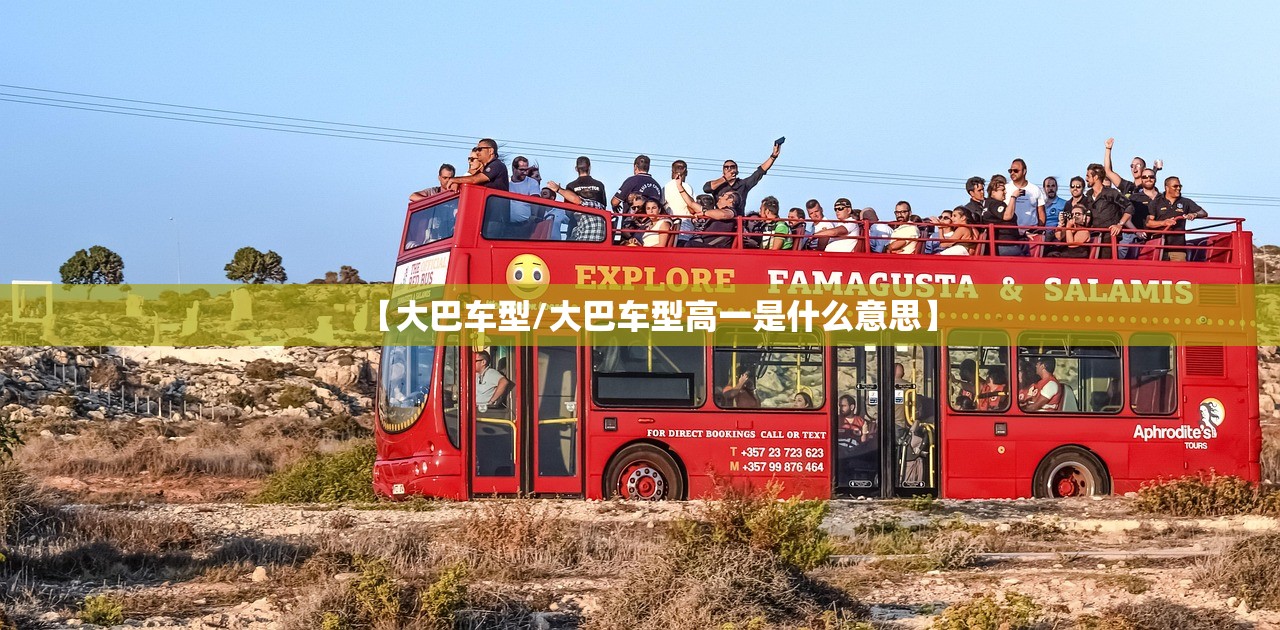 【大巴车型/大巴车型高一是什么意思】