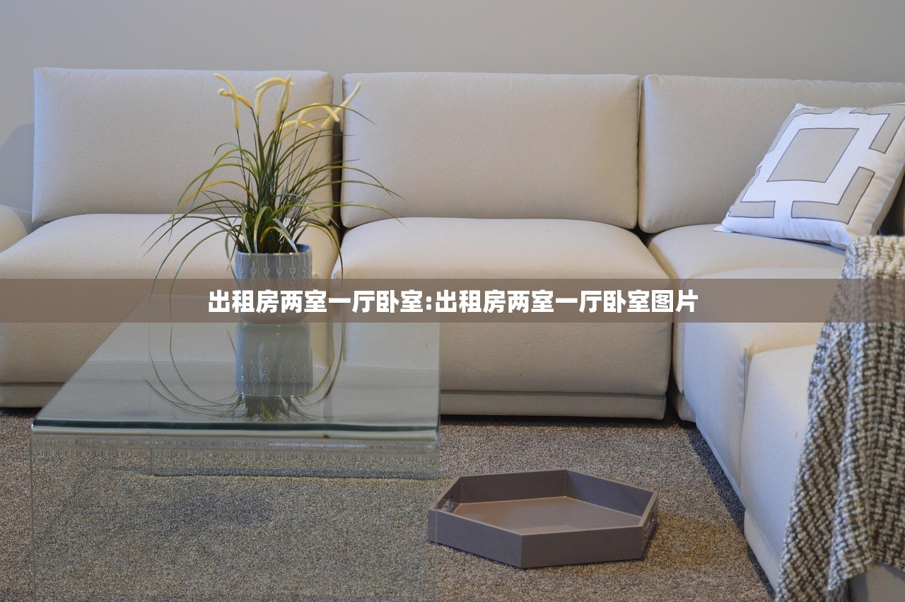 出租房两室一厅卧室:出租房两室一厅卧室图片 出租房两室一厅卧室:出租房两室一厅卧室图片