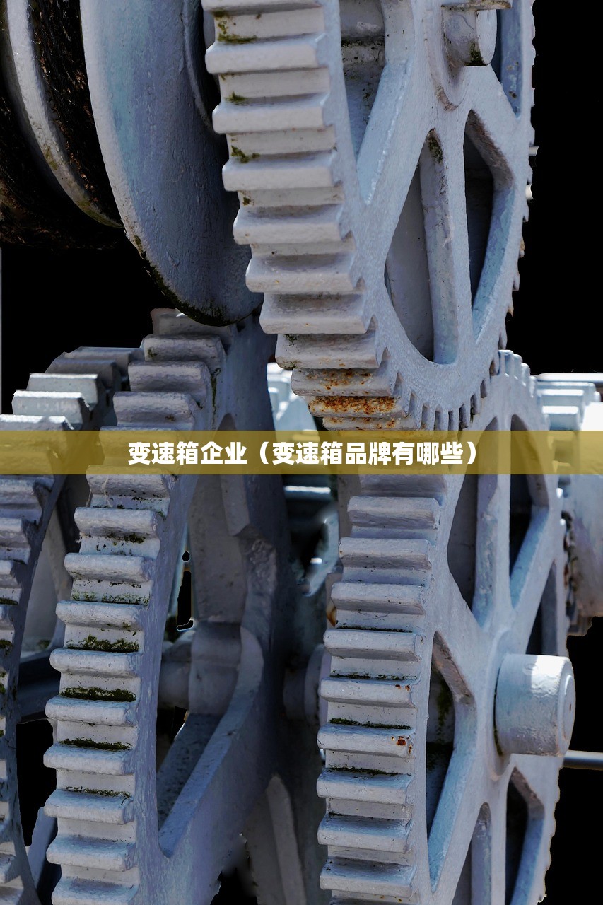 变速箱企业(变速箱品牌有哪些) 变速箱企业(变速箱品牌有哪些)