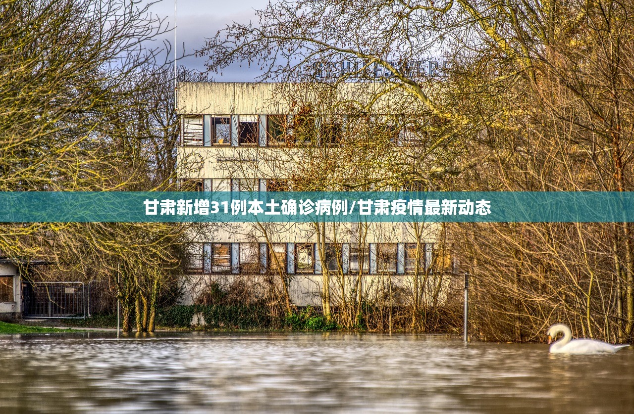 甘肃新增31例本土确诊病例/甘肃疫情最新动态