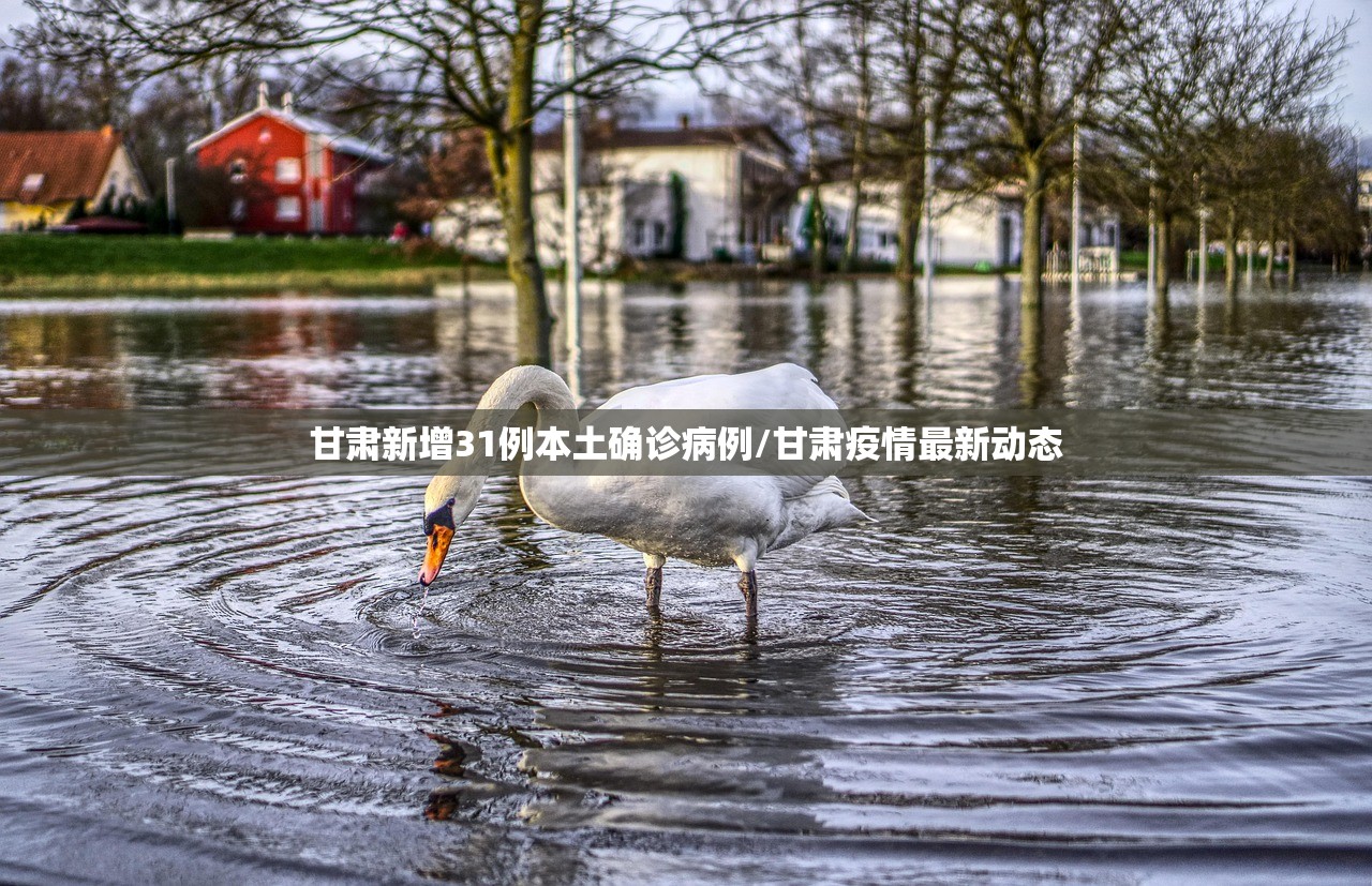 甘肃新增31例本土确诊病例/甘肃疫情最新动态