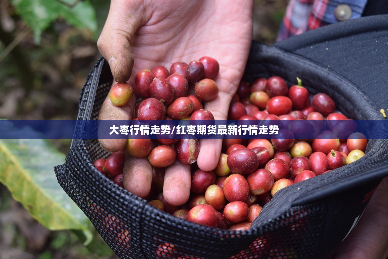 大枣行情走势/红枣期货最新行情走势 大枣行情走势/红枣期货最新行情走势